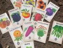 The seeds for garden bed no2