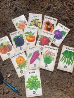 The seeds for garden bed no2