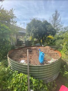 garden bed 2