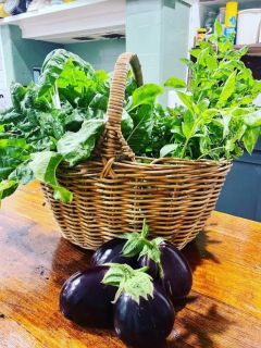 Eggplant2