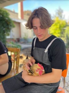 paddy chicken