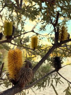 265A9964 C682 468F 9C5C 1C48FECF41B1